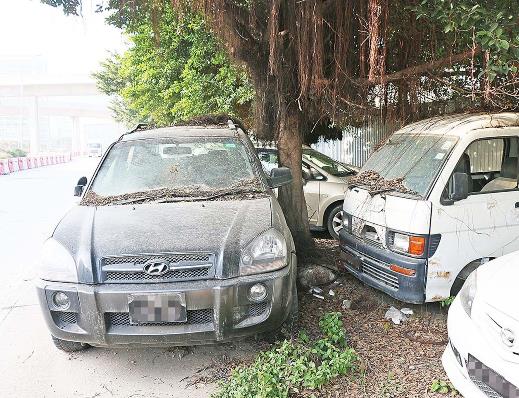 宋碧琪促處理停車場違泊和殭屍車01 - 複製.jpg